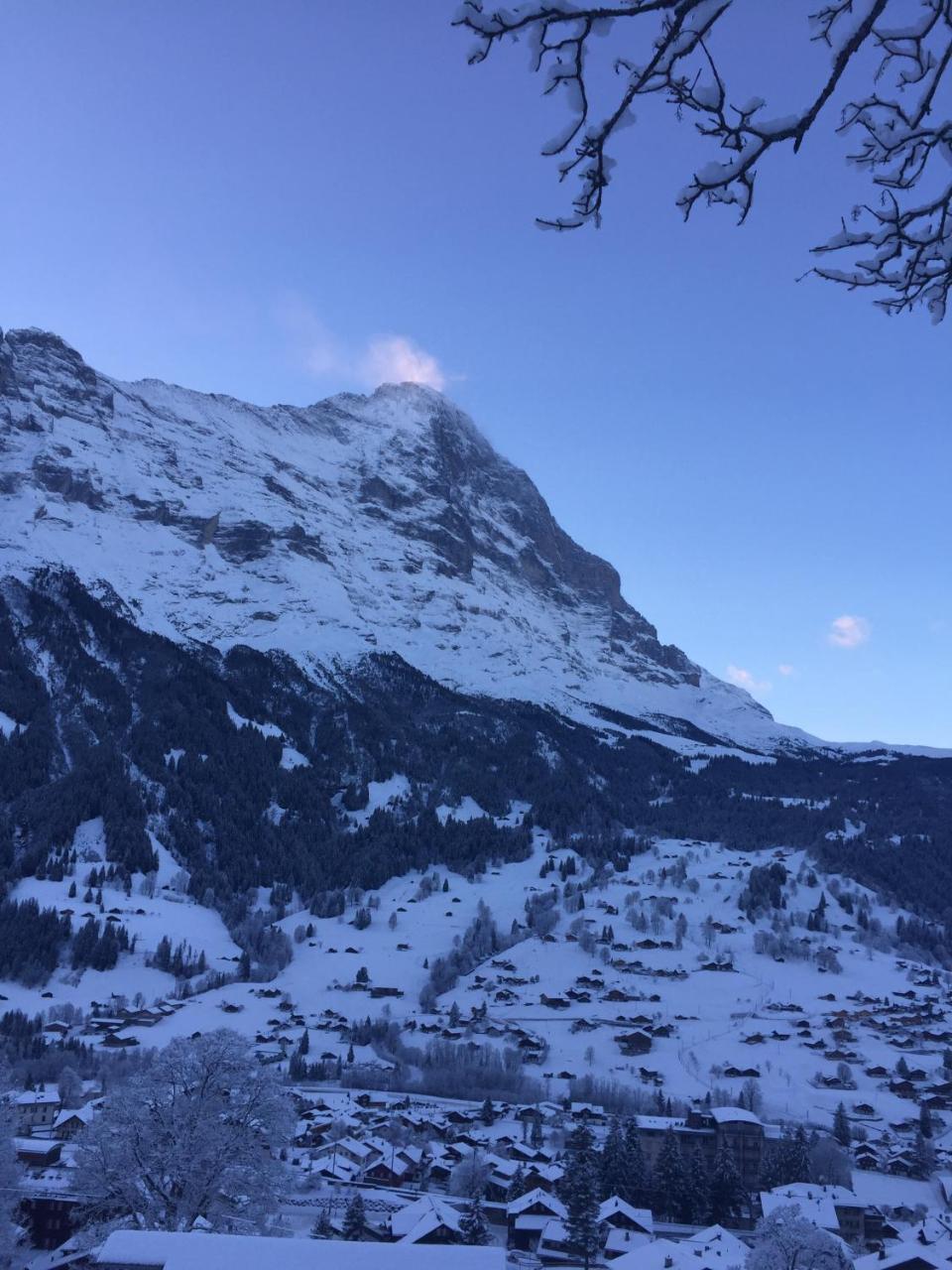 Chalet Gruenegg Grindelwald Bagian luar foto