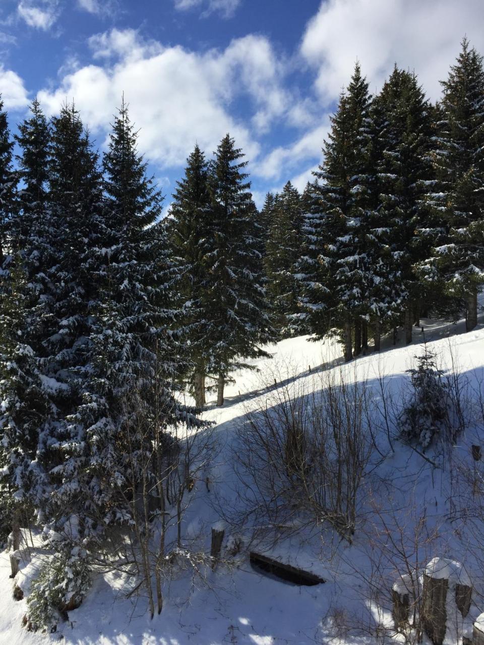 Chalet Gruenegg Grindelwald Bagian luar foto